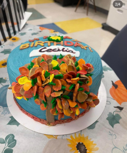 Cake 1